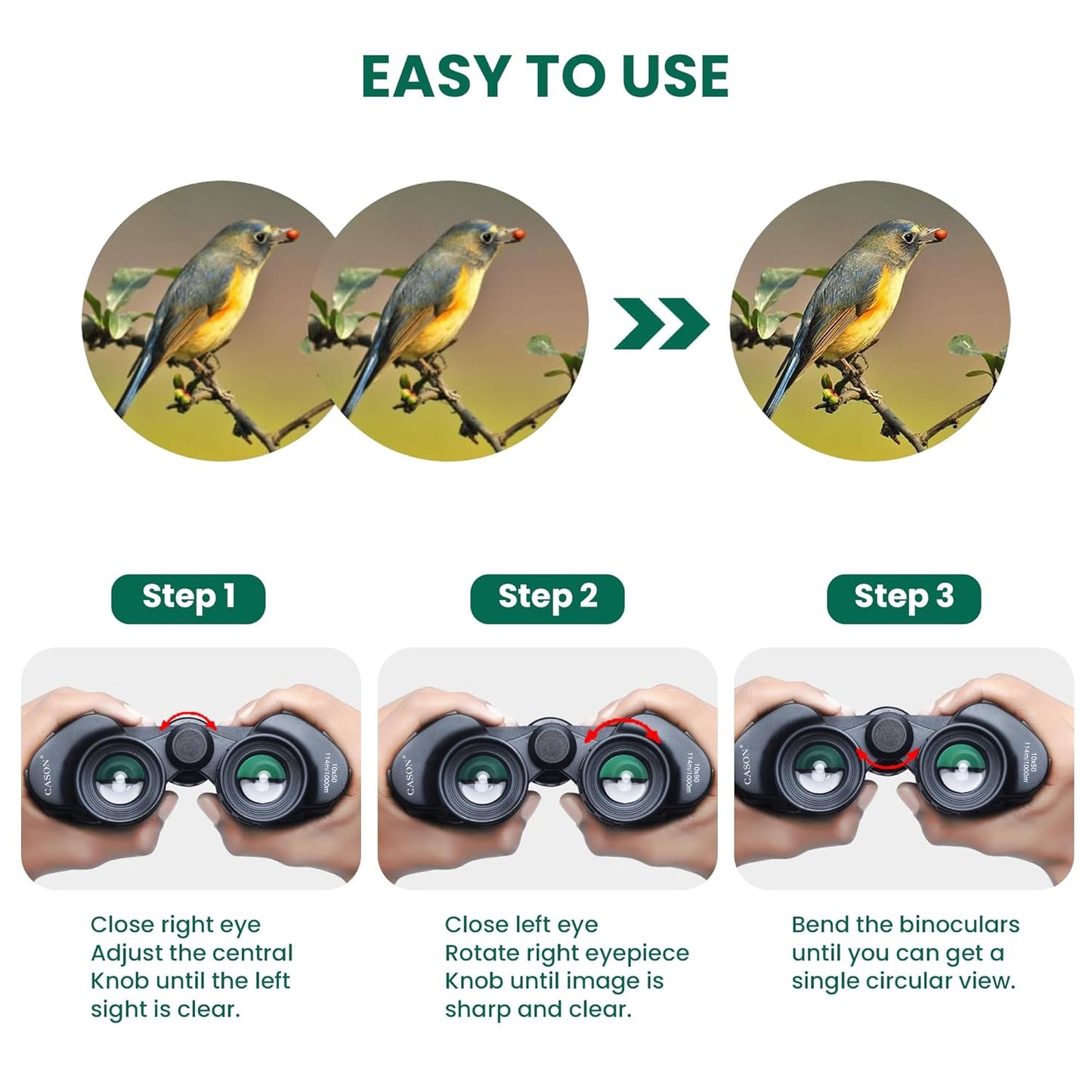 Cason -Binoculars for Long Distance 10 x 50 Binocular for Adults | Wide Eye Peice | FMC Green Coating | BAK 4 Glass | Binoculars for Bird Watching,Wildlife,Safari (Black)