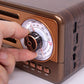 Cason FR22 Fm Radio for Home with Bluetooth Speaker,Vintage Radio with USB -Retro Radio Portable Music Player with Transistor Frequency Knob Meter,SD Card,Headphone Jack(Brown)
