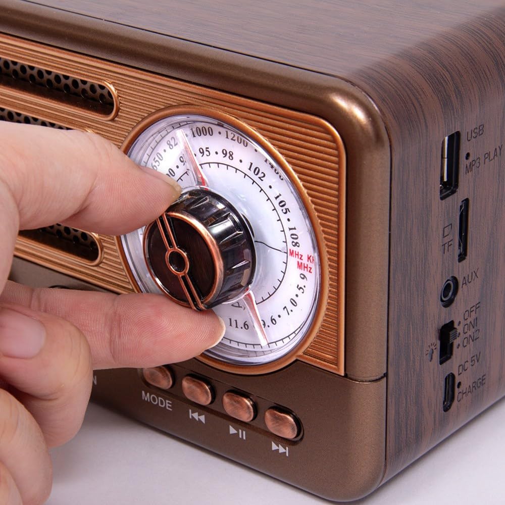 Cason FR22 Fm Radio for Home with Bluetooth Speaker,Vintage Radio with USB -Retro Radio Portable Music Player with Transistor Frequency Knob Meter,SD Card,Headphone Jack(Brown)