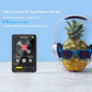 Cason 32GB Mini MP3 Music Player with Bluetooth,Touch Screen, Video Playback – Pocket-Sized MP3 Player for Voice Recording,Fm Radio & Music on the Go-Expanded Up to 128GB (Black)